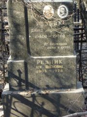 Резник Давид Исаакович, Москва, Востряковское кладбище